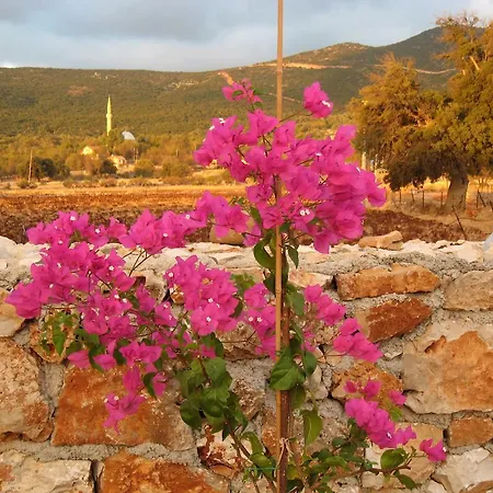 Narnia Kaş